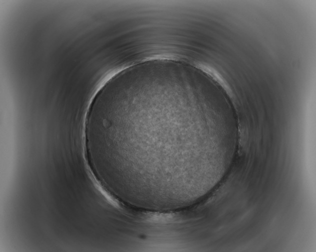 X0000088140890200705211133