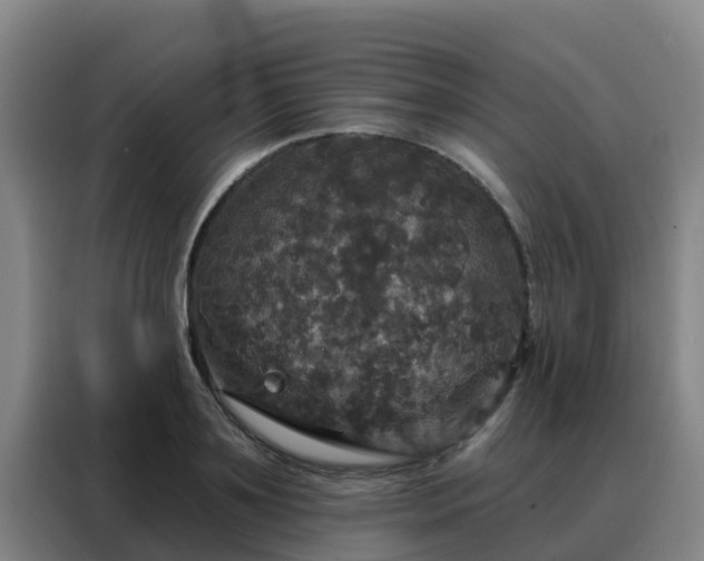 X0000088140891200705211133