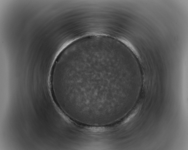 X0000088140893200705211133