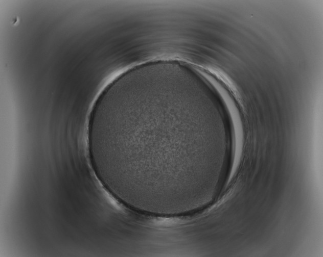 X0000088140894200705211133