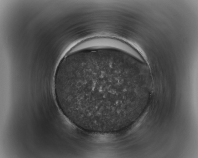 X0000088140895200705211133