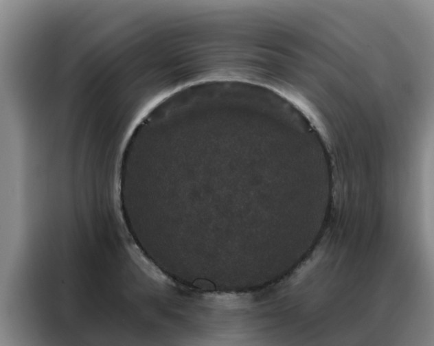 X0000088140896200705211133