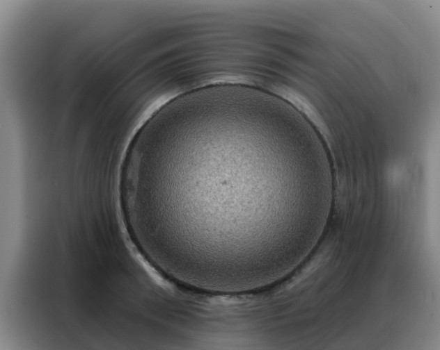 X0000088140898200705211133
