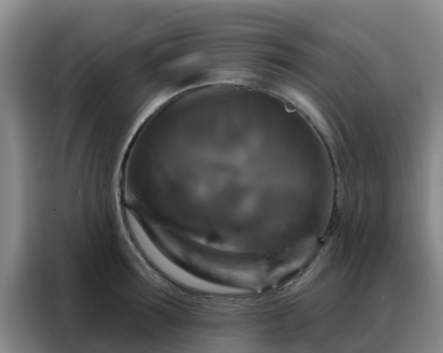 X0000088140899200705211133