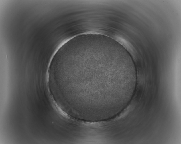 X0000088140900200705211133