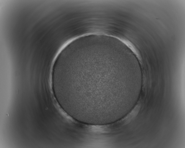 X0000088140904200705211133