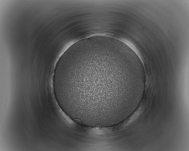 X0000088140906200705211133