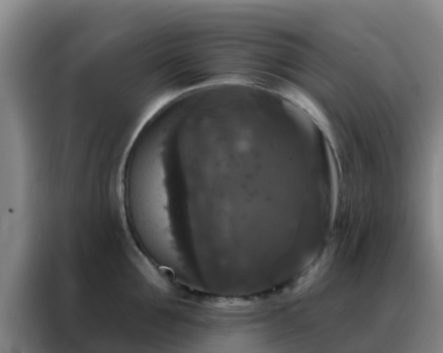 X0000088140907200705211133