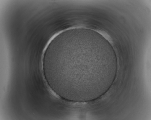 X0000088140912200705211133