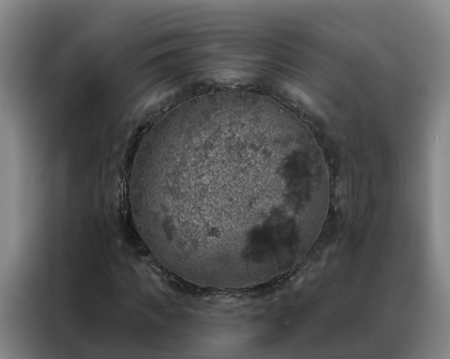 X0000088140917200705211132