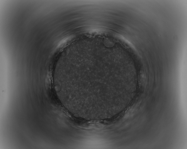 X0000088140918200705211133