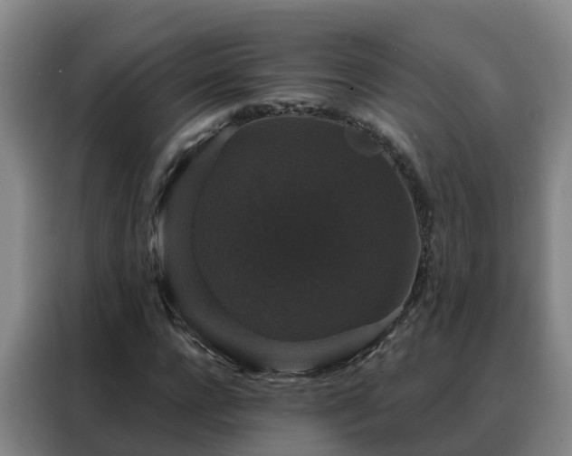 X0000088140920200705211133