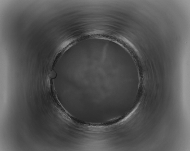 X0000088140921200705211133
