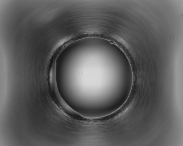 X0000088140922200705211133