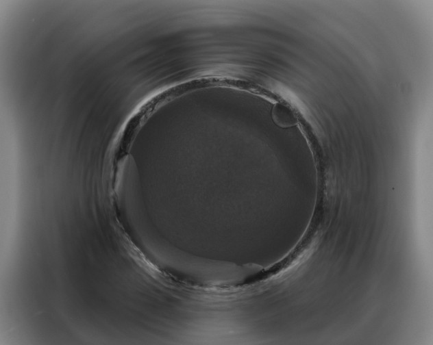 X0000088140923200705211133