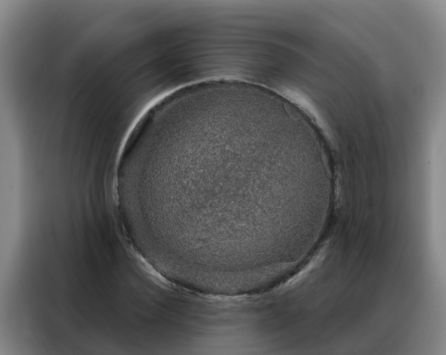X0000088140924200705211133