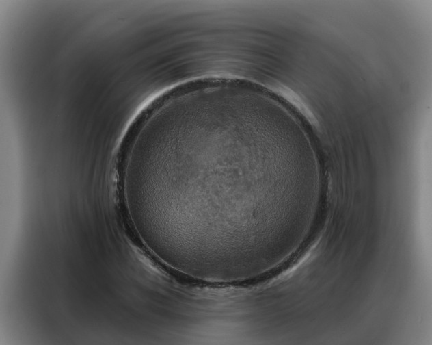 X0000088140926200705211133