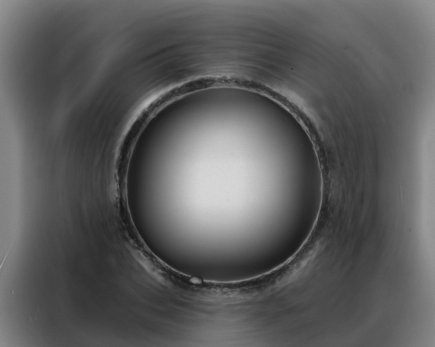 X0000088140927200705211133