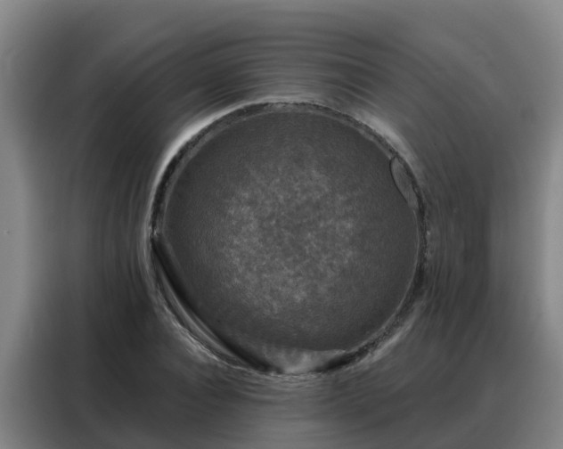 X0000088140928200705211133