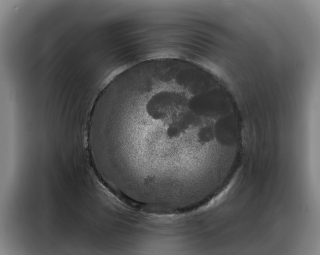 X0000088140929200705211133