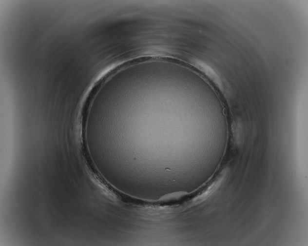 X0000088140931200705211133