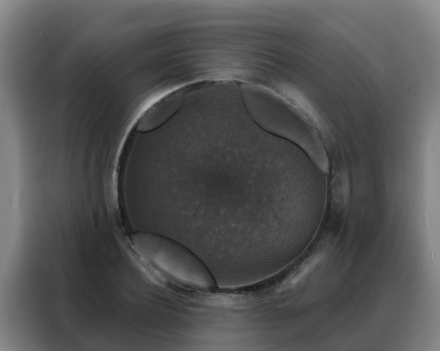 X0000088140932200705211133