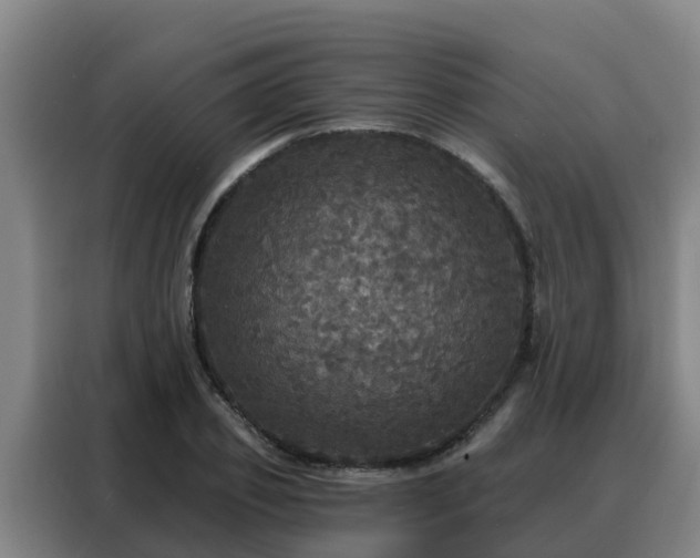 X0000088140933200705211133