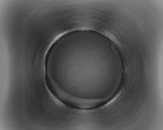 X0000088140934200705211133