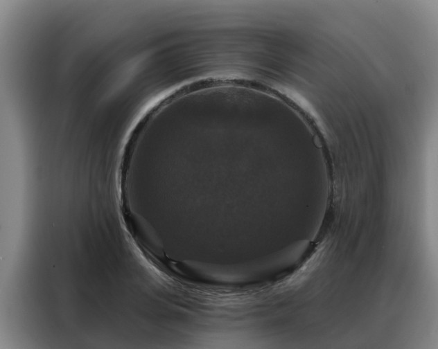 X0000088140935200705211133