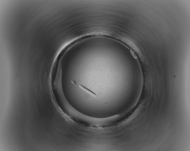 X0000088140936200705211133
