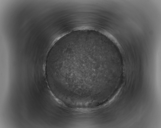 X0000088140937200705211133