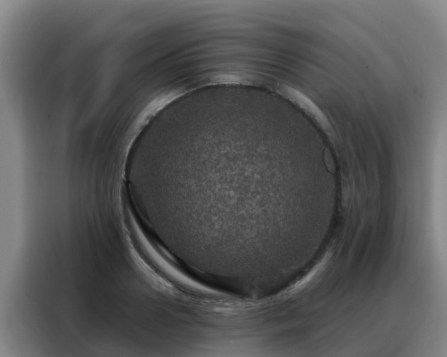 X0000088140938200705211133