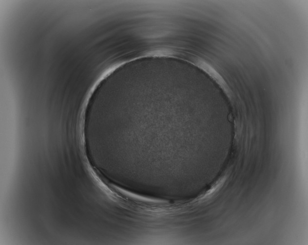 X0000088140939200705211133