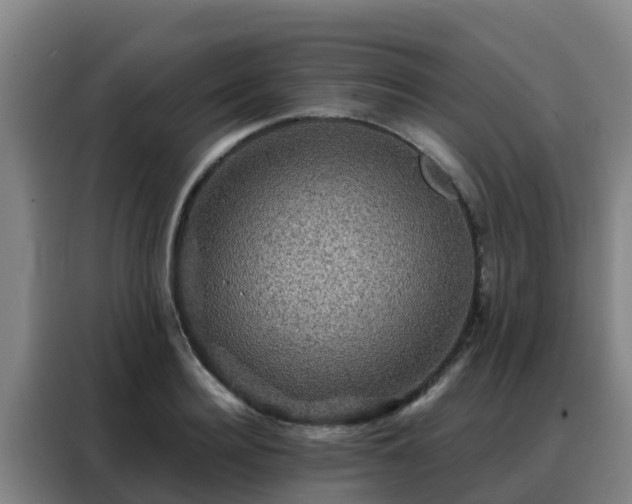 X0000088140940200705211133