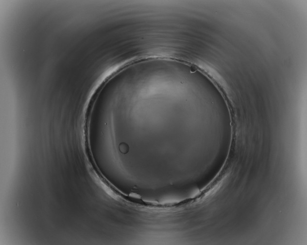 X0000088140941200705211133