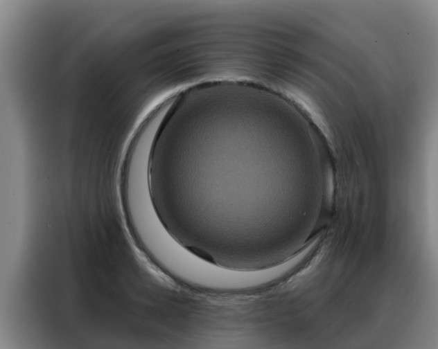 X0000088140942200705211133