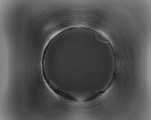 X0000088140943200705211133