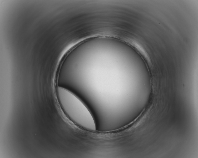 X0000088140944200705211133