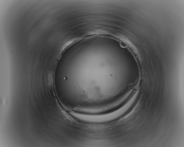 X0000088140945200705211133