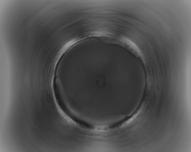 X0000088140946200705211133