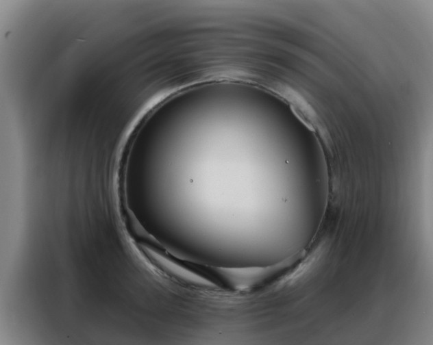 X0000088140947200705211133