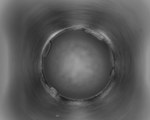 X0000088140948200705211133