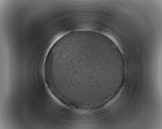 X0000088140949200705211133