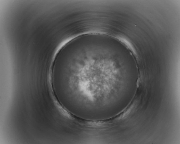 X0000088140952200705211133