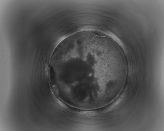 X0000088140953200705211133