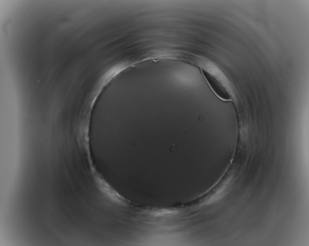 X0000088140954200705211133