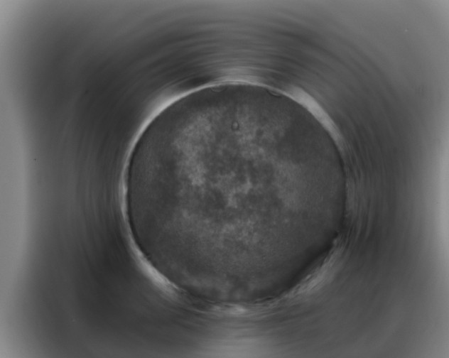 X0000088140955200705211133
