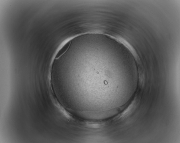 X0000088140956200705211133