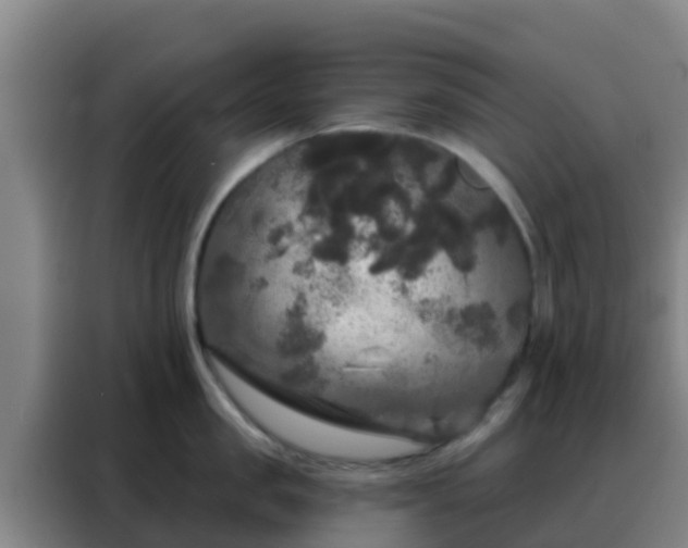 X0000088140957200705211133