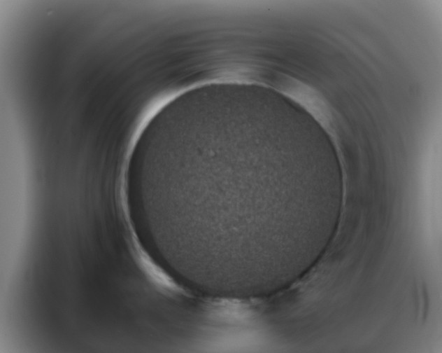 X0000088140960200705211133